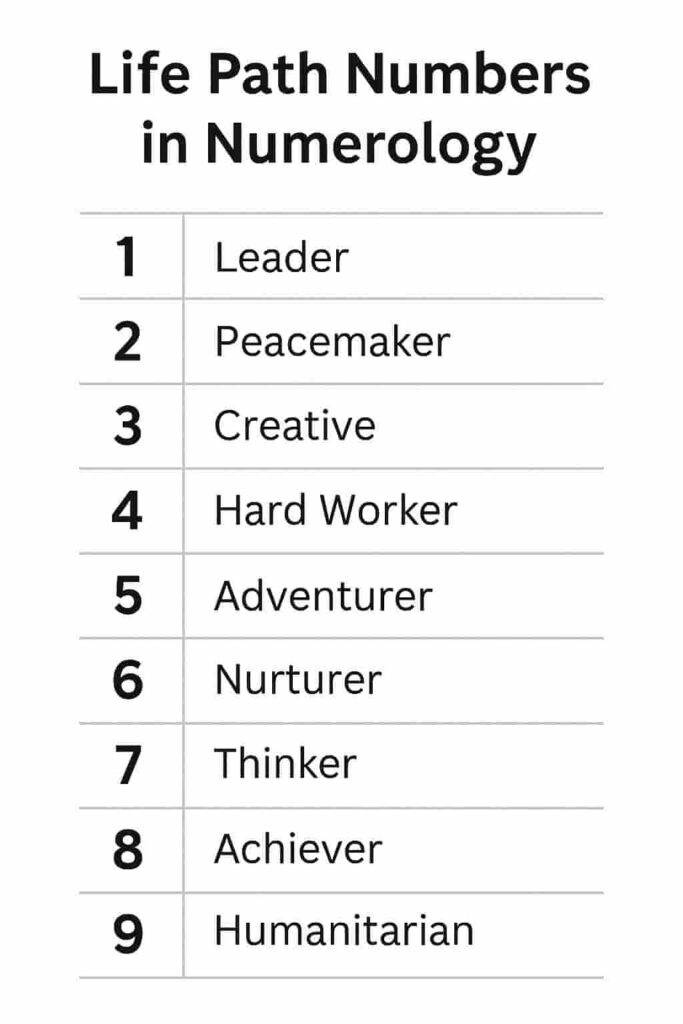Life Path Number in Numerology